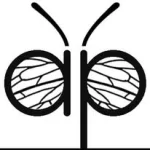 Apis Donau 🐝🇪🇺